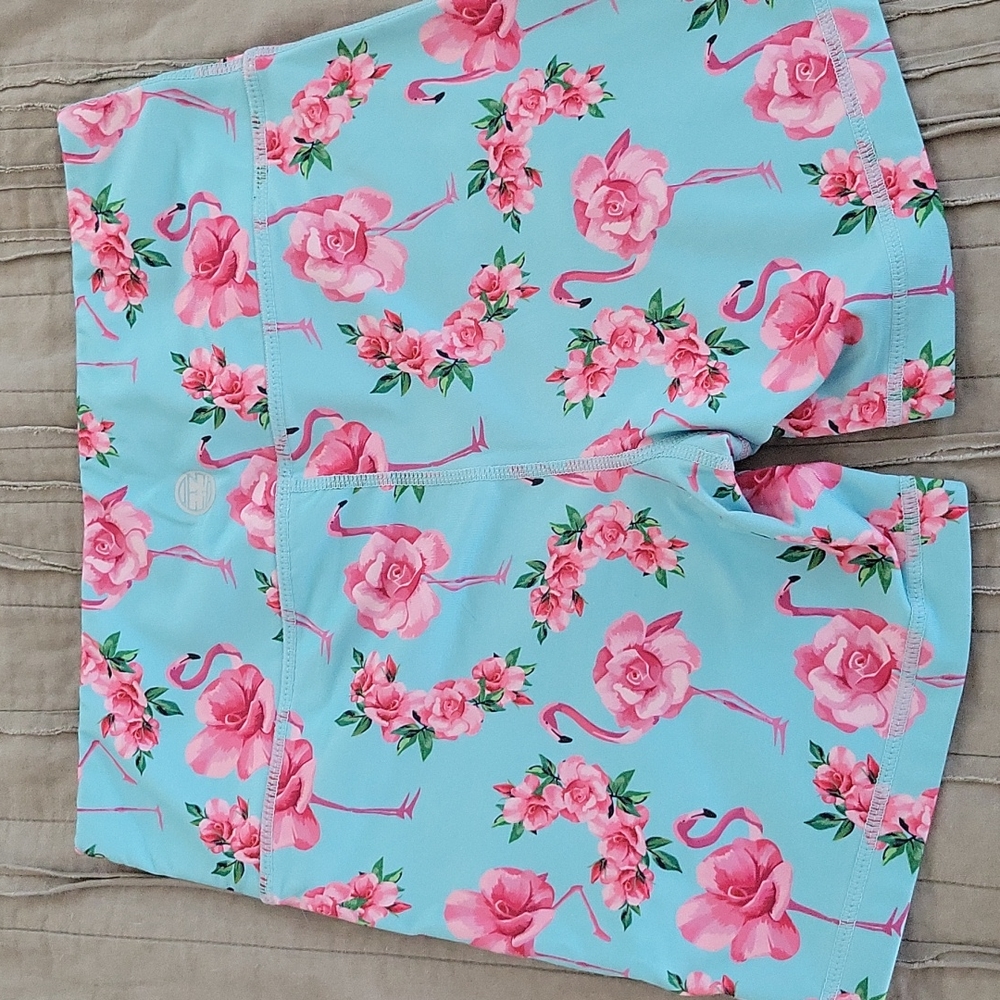 5" IAB "I Am Becoming" Manufacturing No Ride, Shorts, Size S, Blue Pink Flamingo